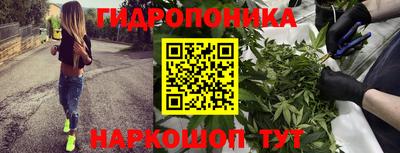ПСИЛОЦИБИНОВЫЕ ГРИБЫ Лесосибирск